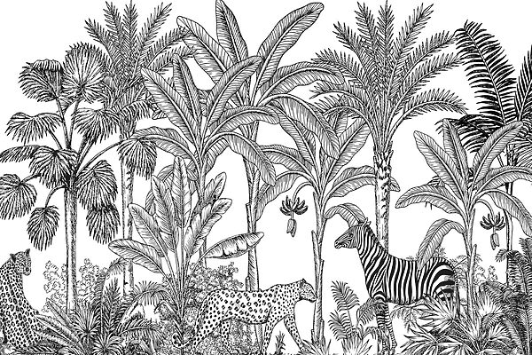 Zebra i gepard w dżungli Zebra i gepard w dżungli