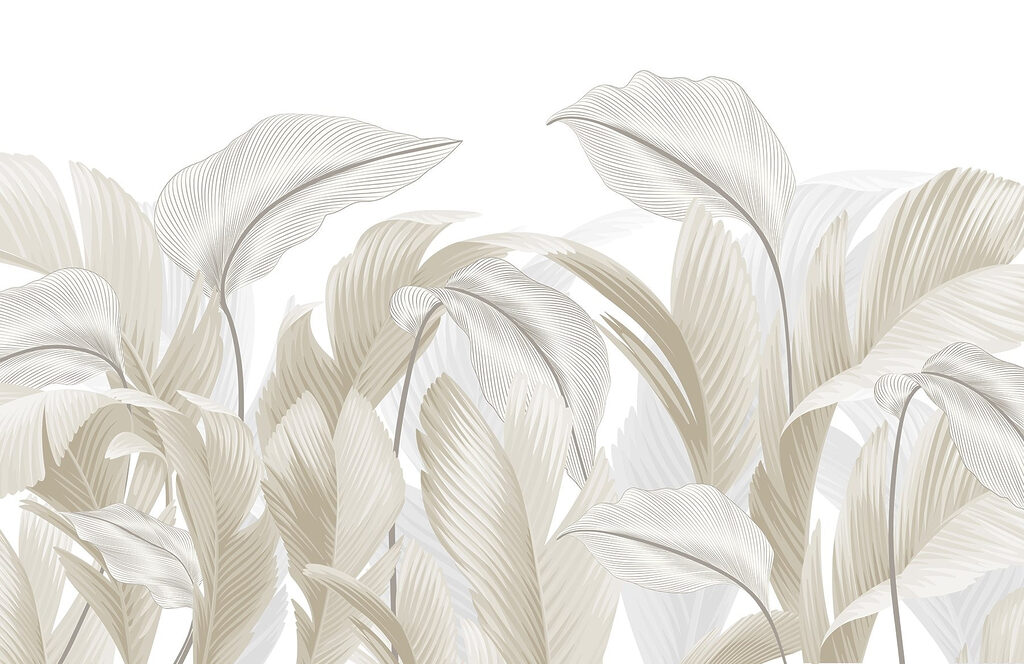 Gentle curves of nature's design