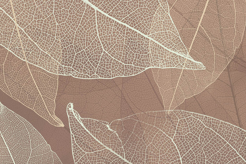 Delicate veins of nature's artwork