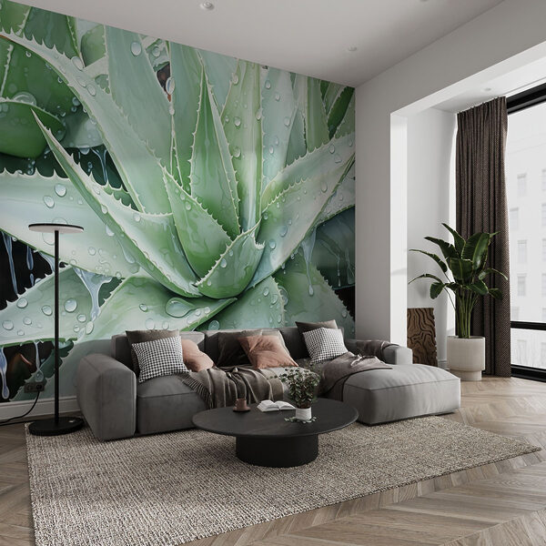 Żywy aloes z orzeźwiającymi kroplami deszczu Żywy aloes z orzeźwiającymi kroplami deszczu