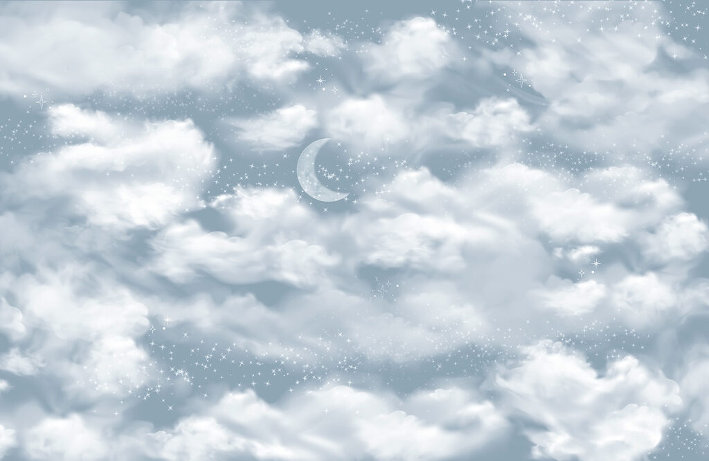 Moon in the sky
