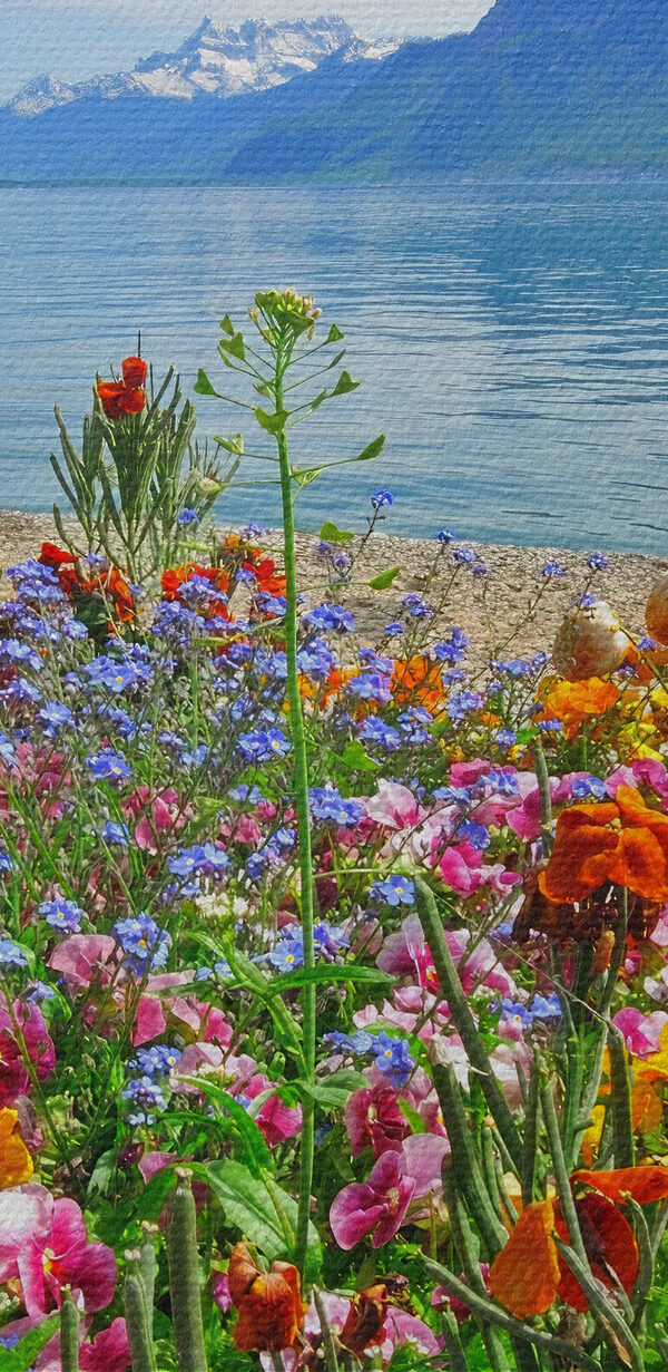 Canvas prints Flower bed with flowers and a lake in the background Canvas prints Flower bed with flowers and a lake in the background