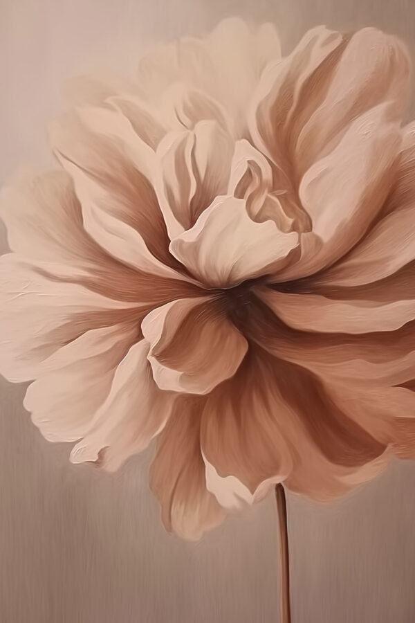 Delicate bloom in soft tones Delicate bloom in soft tones