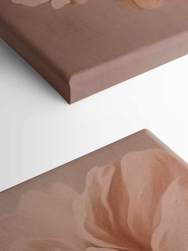 Delicate bloom in soft tones Delicate bloom in soft tones