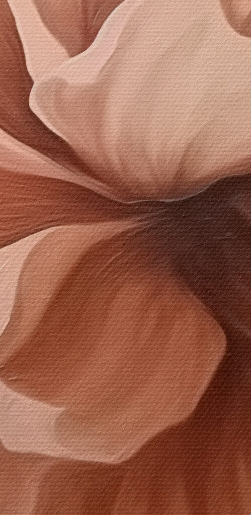 Delicate bloom in soft tones Delicate bloom in soft tones