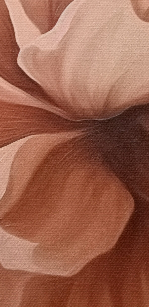 Delicate bloom in soft tones Delicate bloom in soft tones