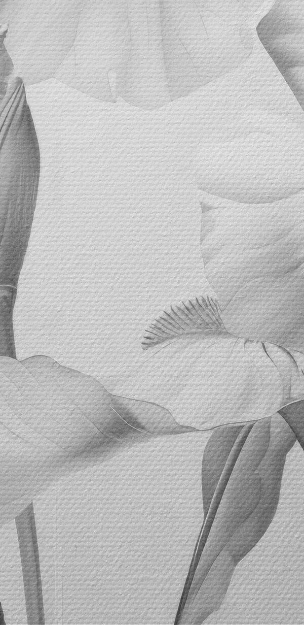Delikatne płatki w miękkich monochromatycznych odcieniach Delikatne płatki w miękkich monochromatycznych odcieniach