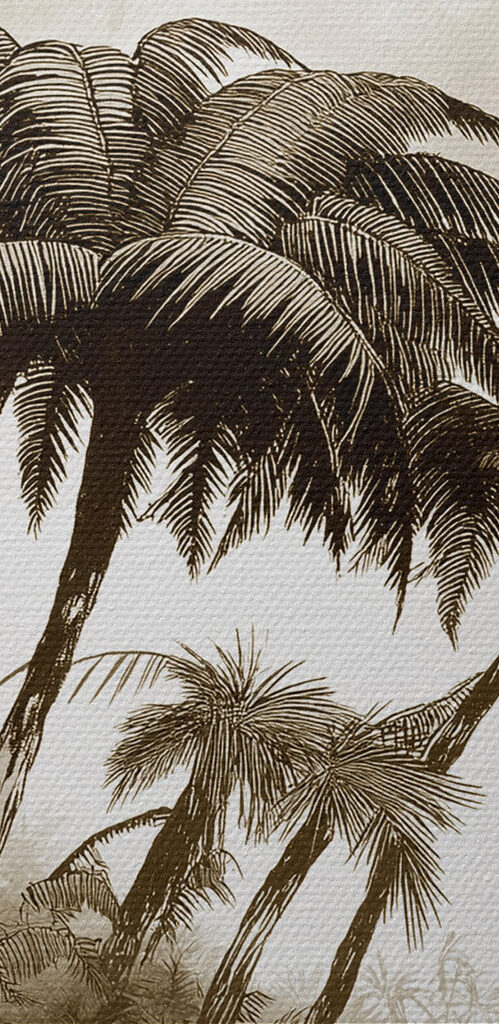 Group of palm trees in a forest Group of palm trees in a forest