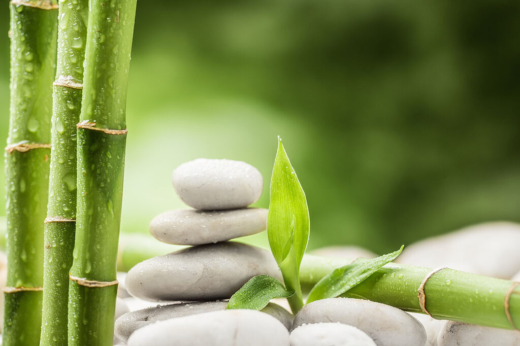 Stack of rocks and bamboo