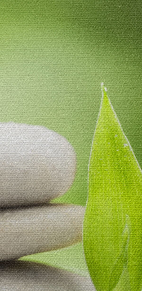 Stack of rocks and bamboo