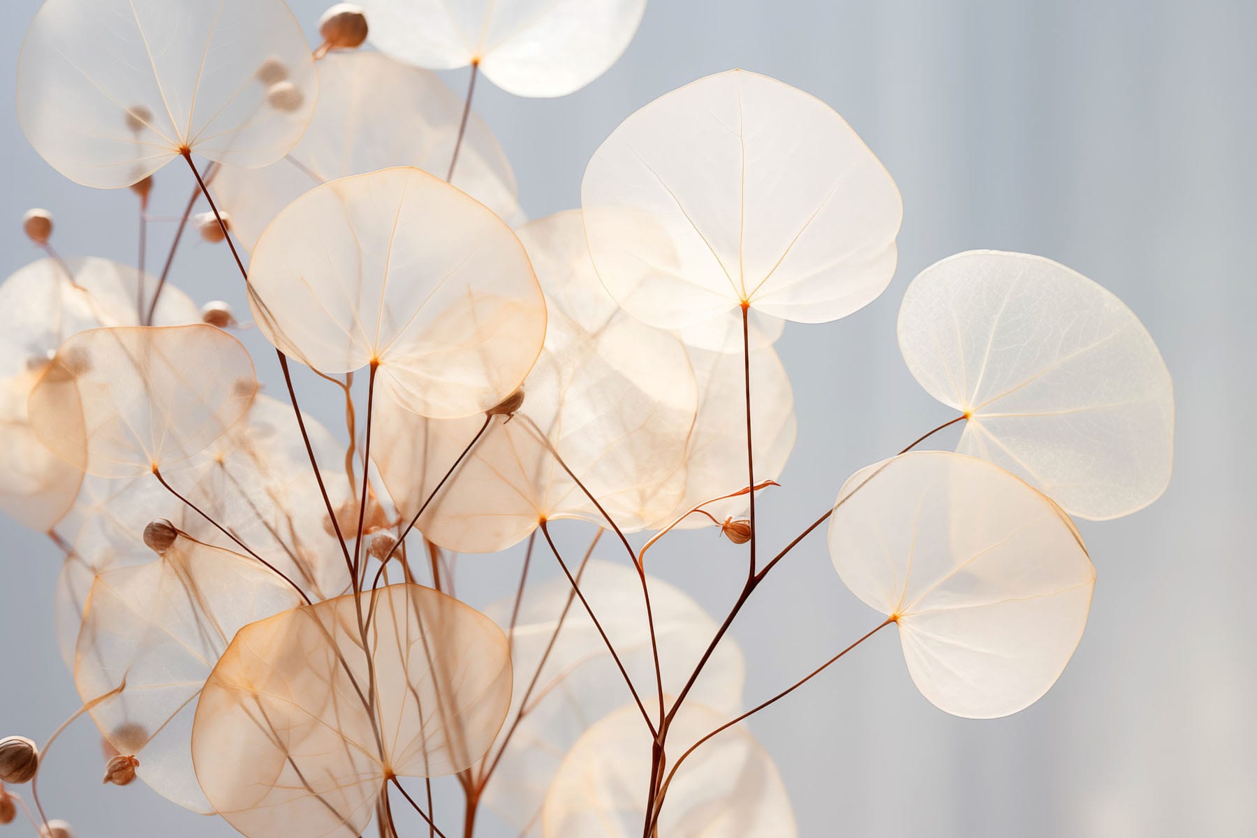 Delicate leaves gently swaying in light Delicate leaves gently swaying in light