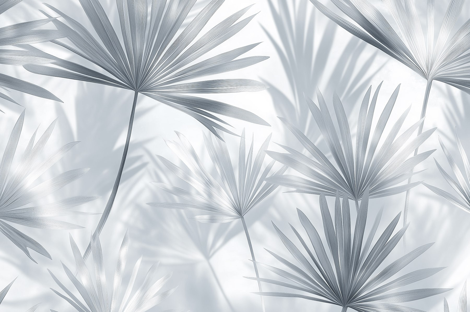 Soft shadows of delicate palm leaves Soft shadows of delicate palm leaves