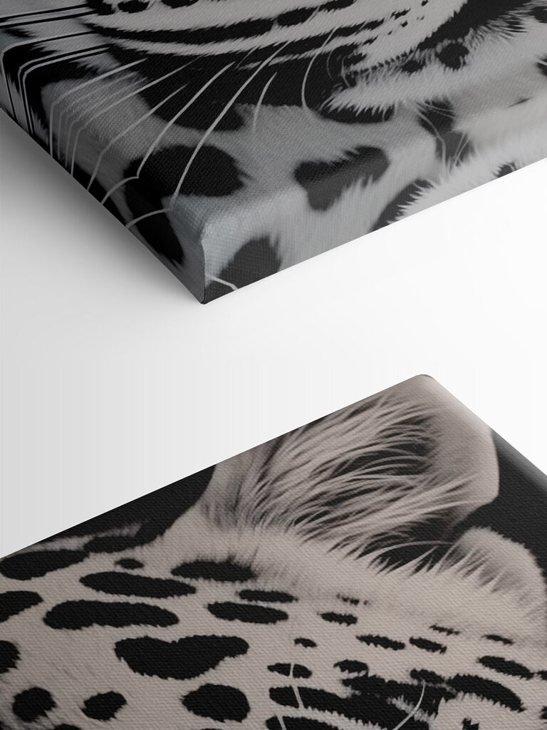 Striking beauty in black and white