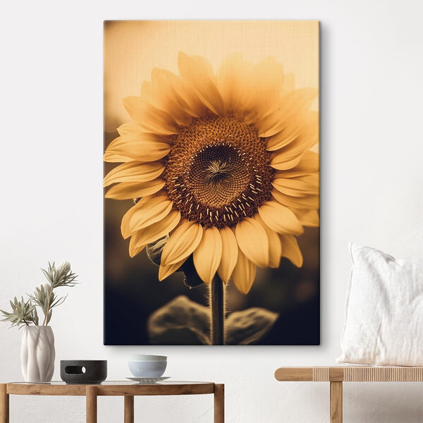 Vibrant petals in soft sunlight Vibrant petals in soft sunlight