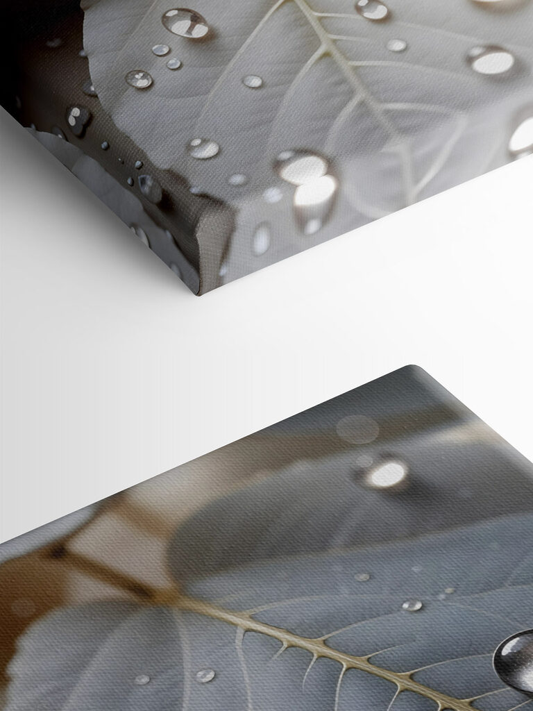 Nature's delicate droplets on leaves