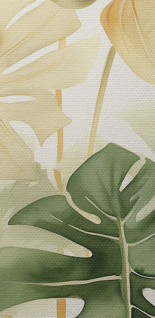 Group of leaves on a white background