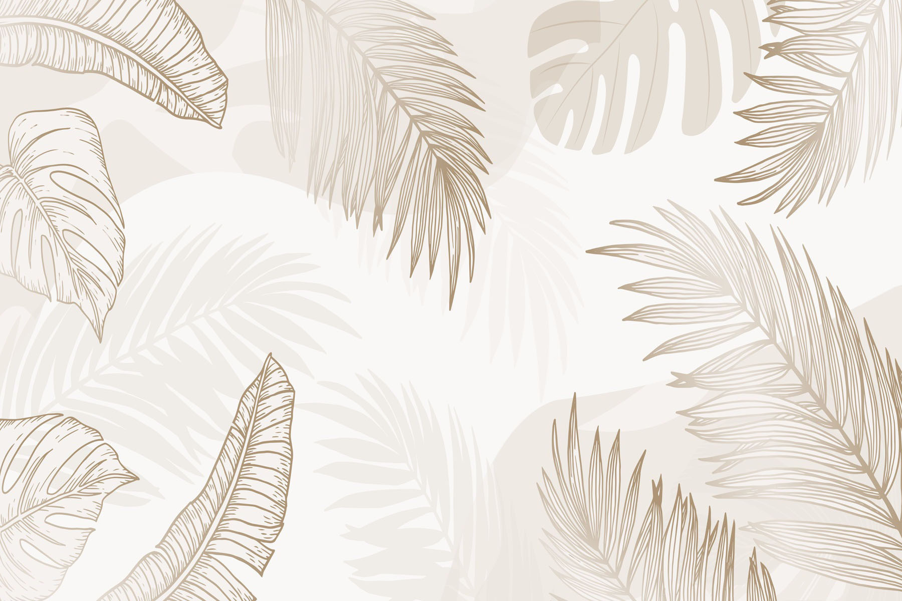 White background with brown leaves