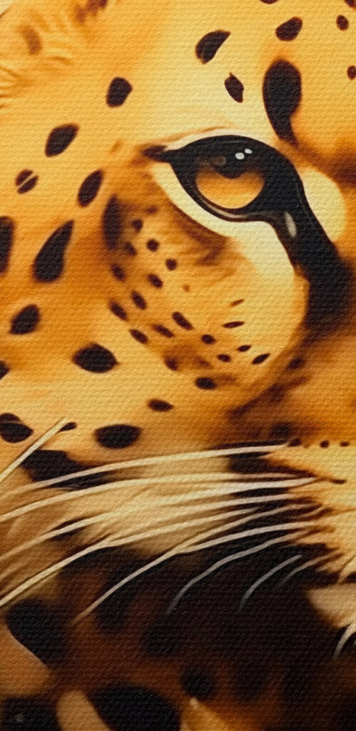 Cheetah with orange spots