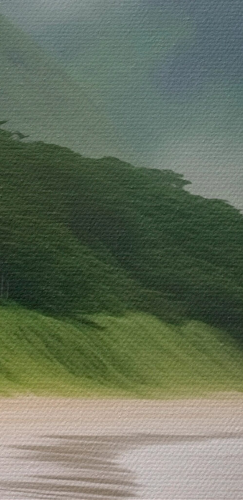 Beach with trees and mountains
