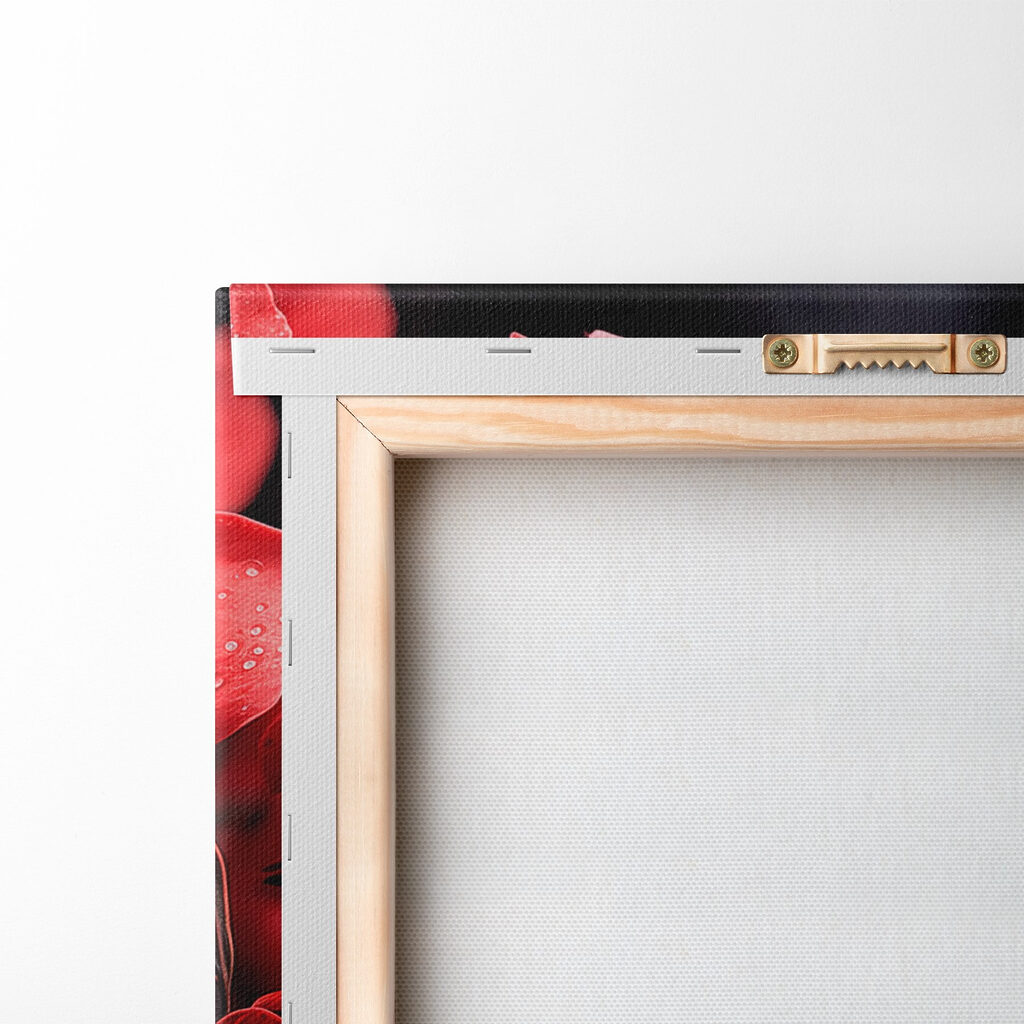 Group of red flowers