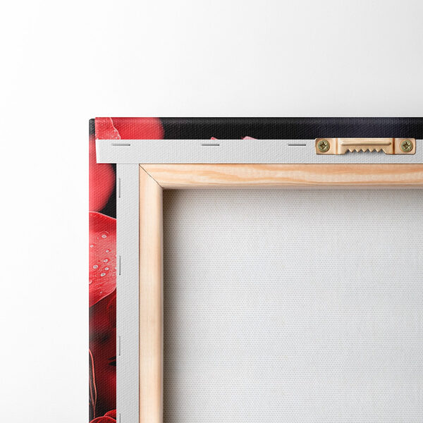 Group of red flowers