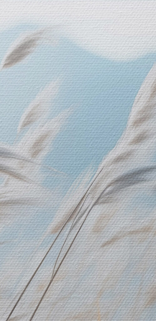 Gentle breezes through tall grass