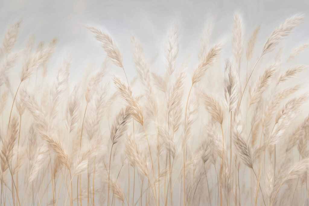 Soft grasses swaying in the breeze