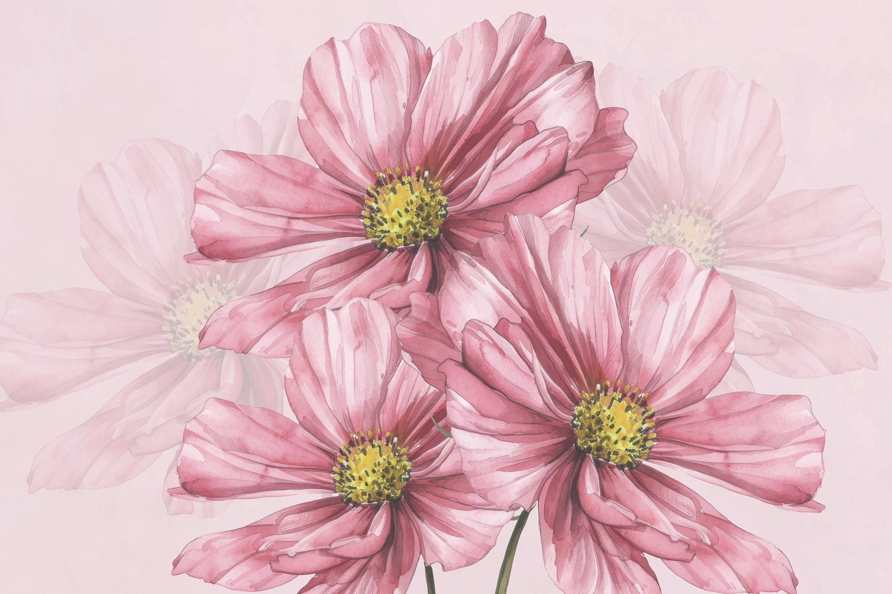 Group of pink flowers