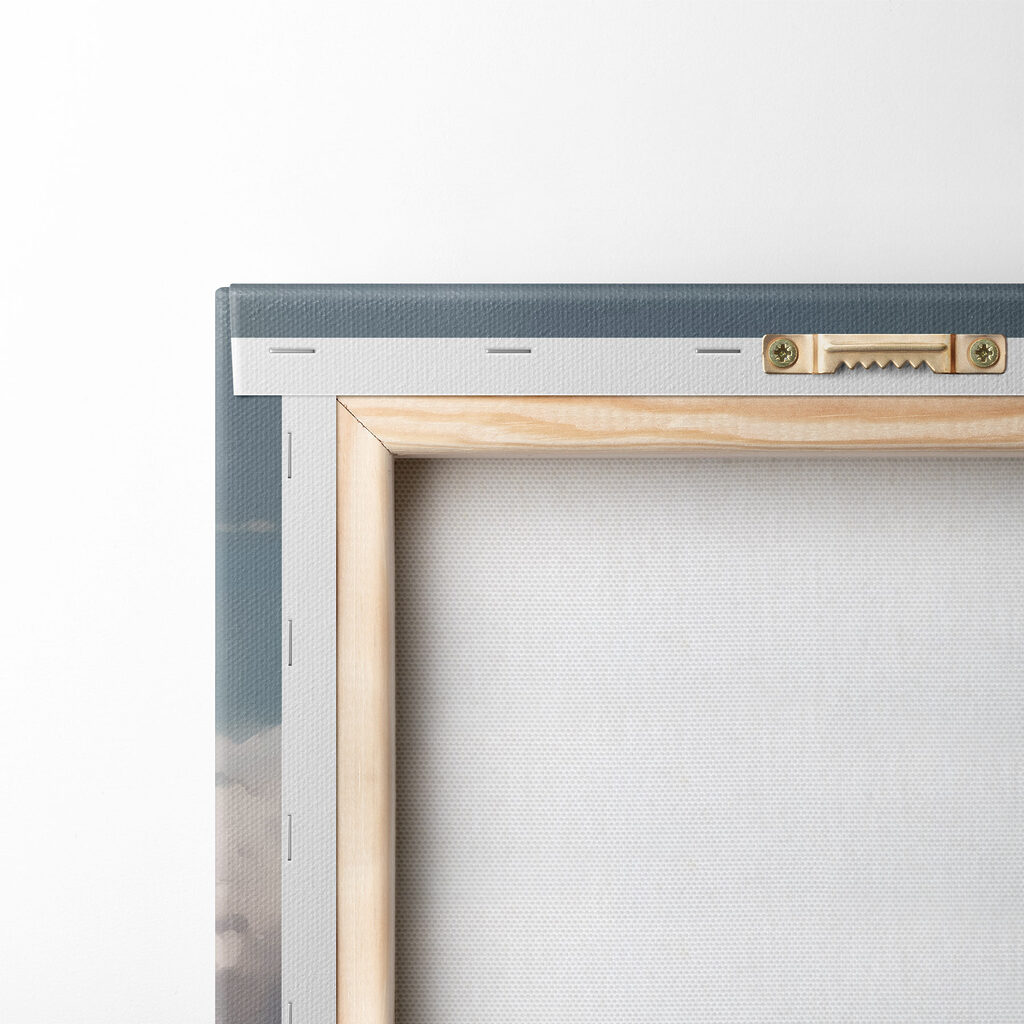 House in a field House in a field