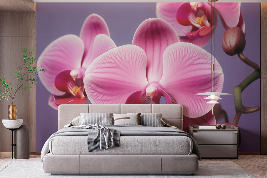Delikatne orchidee w łagodnych odcieniach
