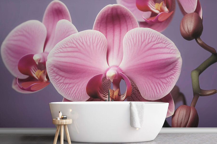 Delikatne orchidee w łagodnych odcieniach