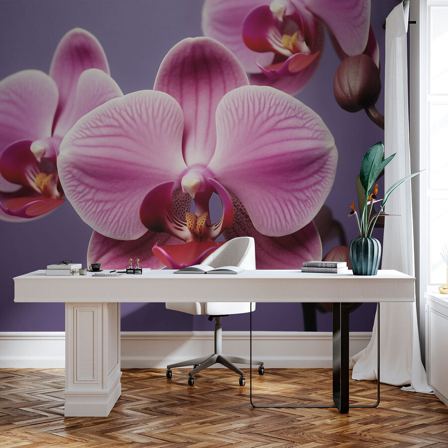 Delikatne orchidee w łagodnych odcieniach