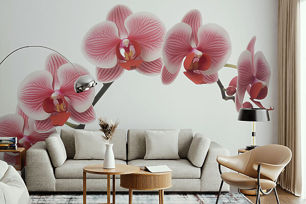 Delikatne orchidee w łagodnym rozkwicie Delikatne orchidee w łagodnym rozkwicie