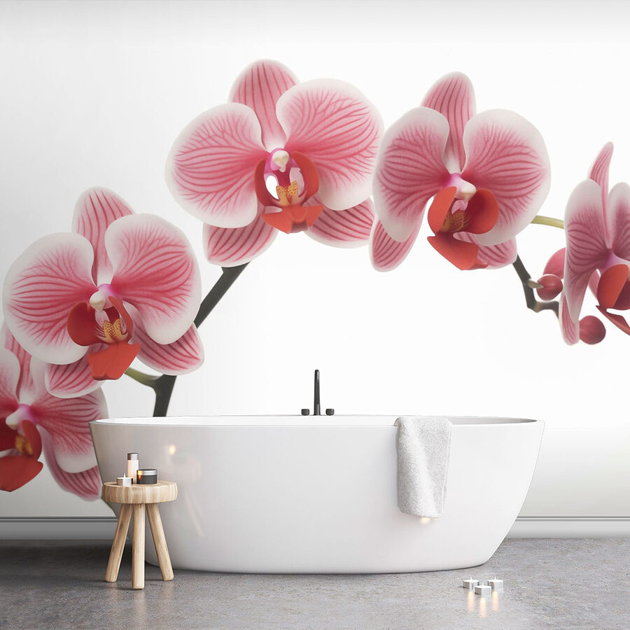 Delikatne orchidee w łagodnym rozkwicie Delikatne orchidee w łagodnym rozkwicie