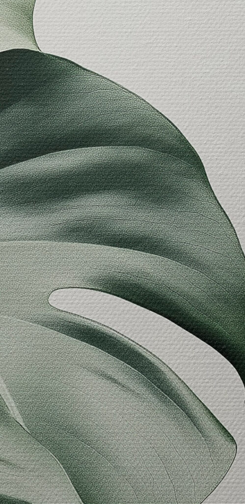 Lush green leaves in soft light