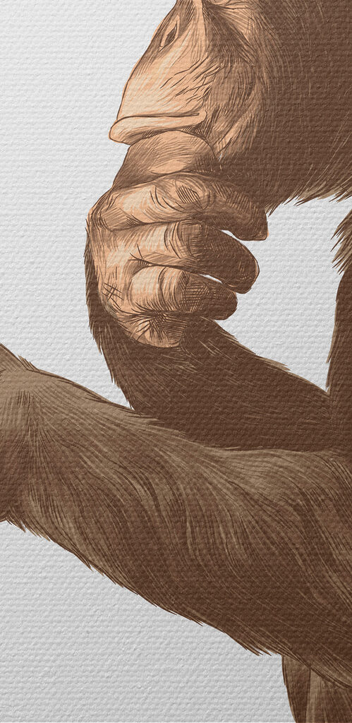 Monkey holding a mug of beer