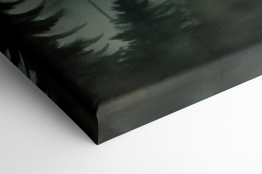 Group of trees in a forest