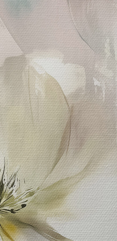 Delicate blooms in soft colors Delicate blooms in soft colors