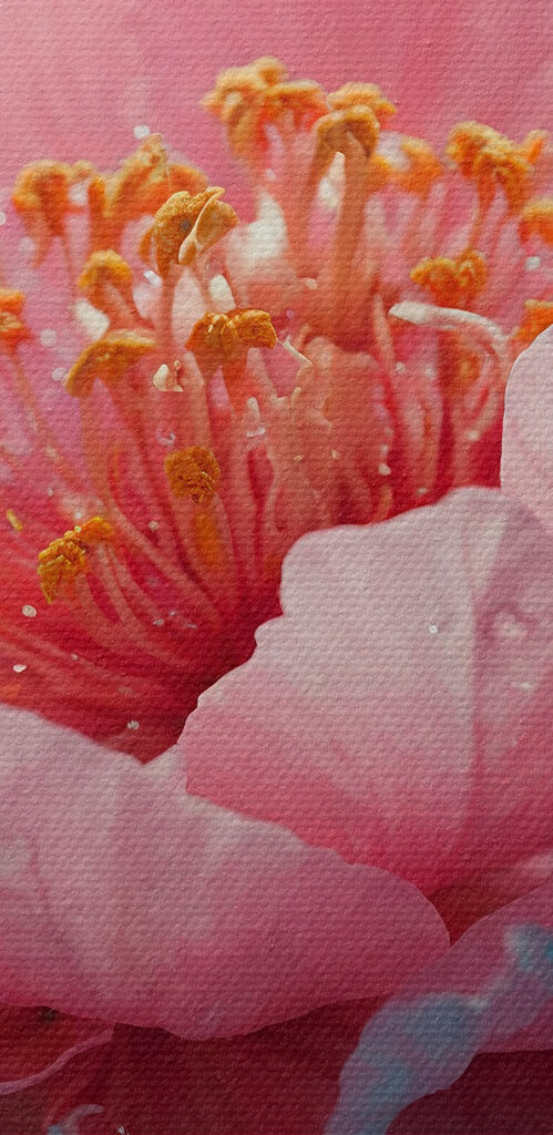 Delicate petals in tranquil water