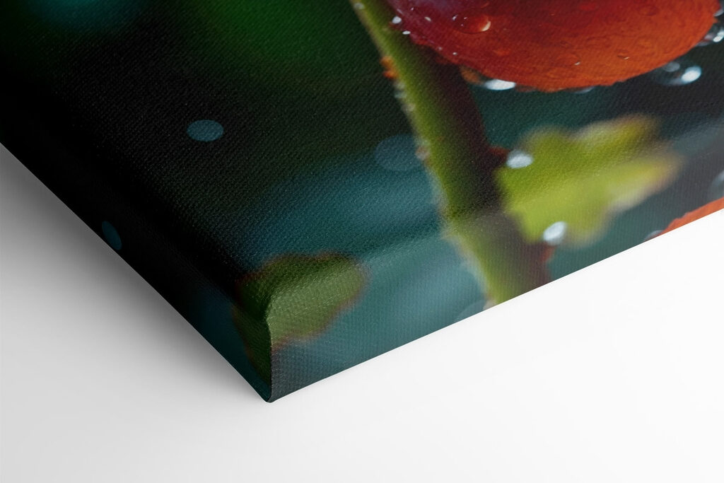 Bunch of grapes with water droplets on them Bunch of grapes with water droplets on them