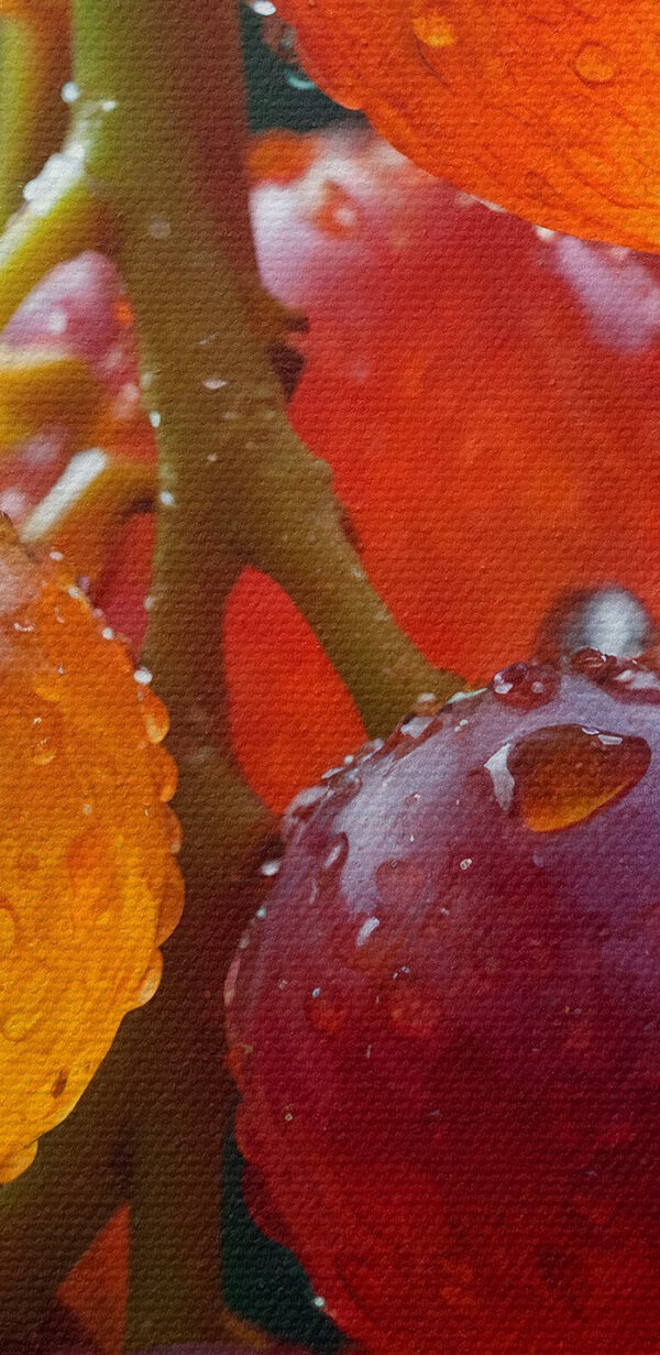 Kiść winogron z kroplami wody na nich Kiść winogron z kroplami wody na nich