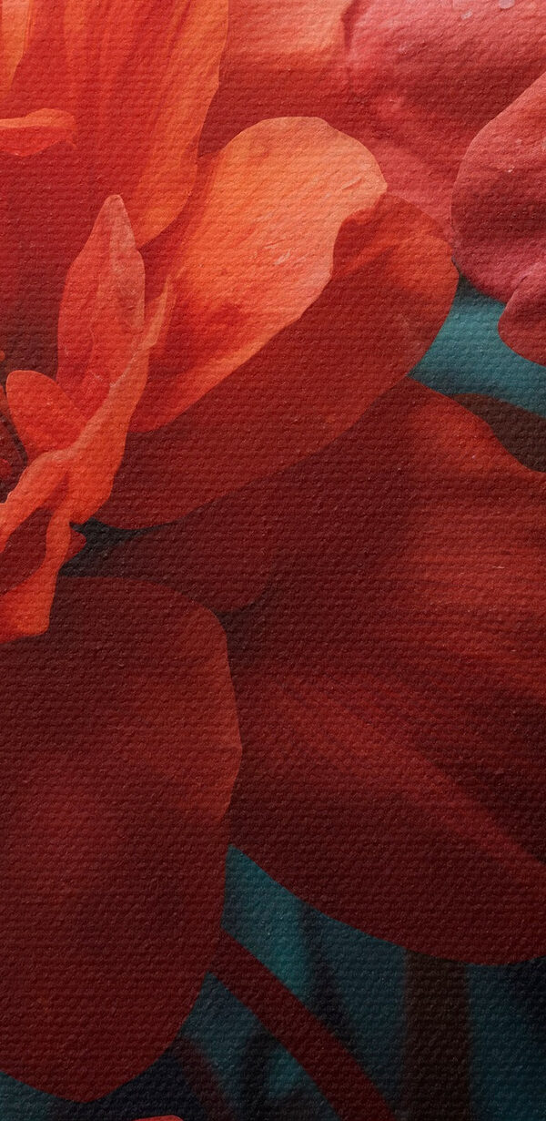 Grupa czerwonych kwiatów Grupa czerwonych kwiatów