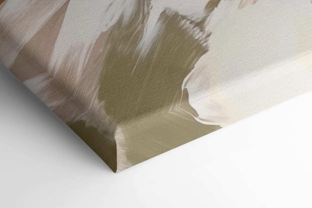 Delicate hues of soft white petals