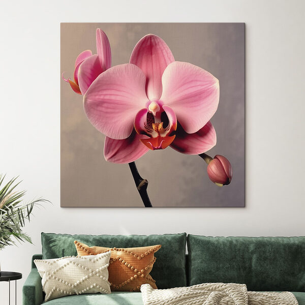 Delikatna różowa orchidea w pełnym rozkwicie Delikatna różowa orchidea w pełnym rozkwicie