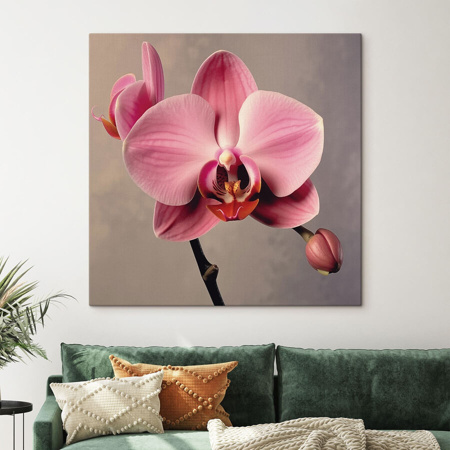 Delikatna różowa orchidea w pełnym rozkwicie