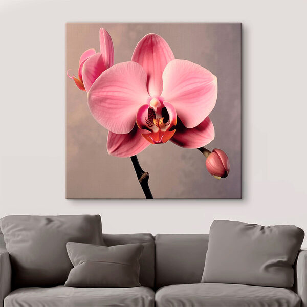 Delikatna różowa orchidea w pełnym rozkwicie Delikatna różowa orchidea w pełnym rozkwicie
