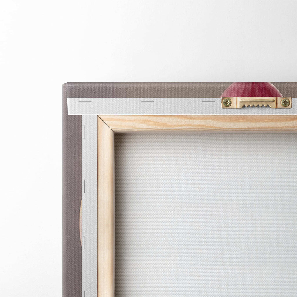 Delicate pink orchid in full bloom