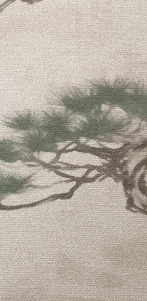 Tree on a rock