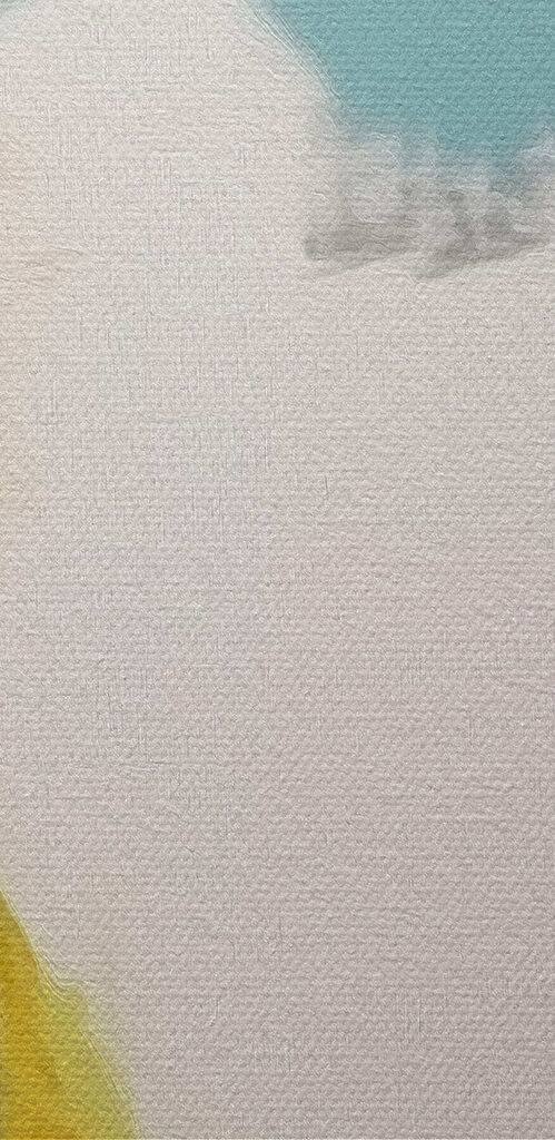 Colorful bird with black beak Colorful bird with black beak