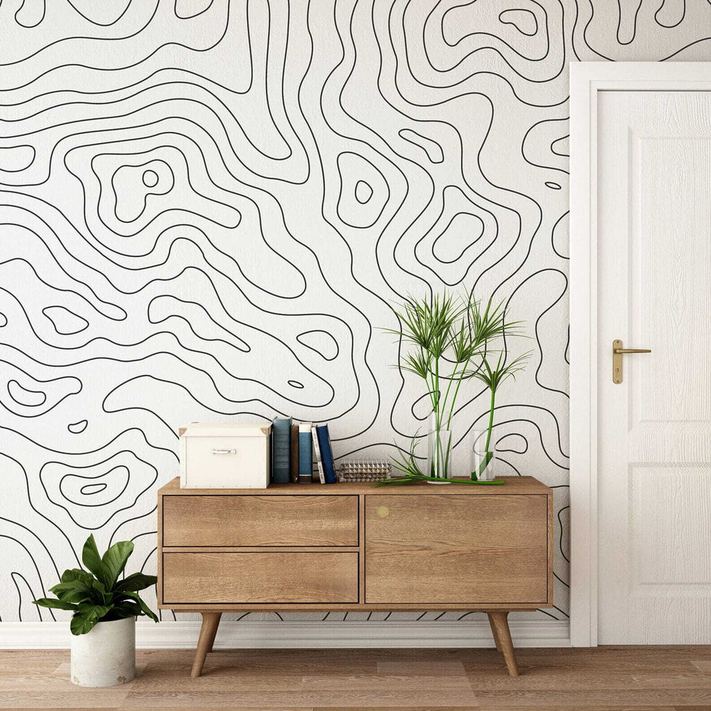 Black and white contour lines Black and white contour lines